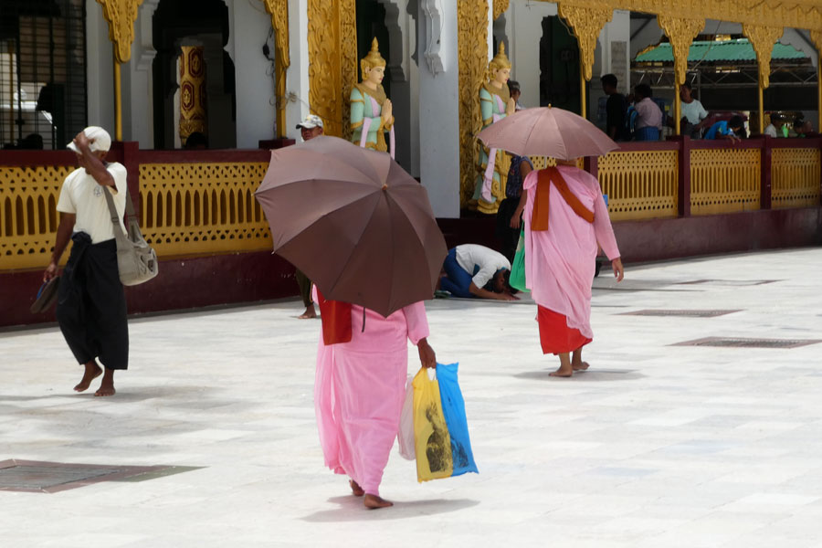 Les nonnes bouddhistes, quasi toujours en rose